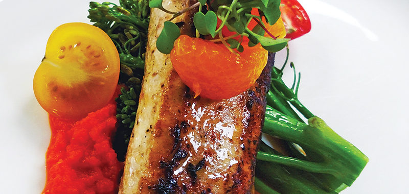 Cobia with Carrot Ginger Puree
