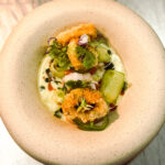 Ora King Salmon and Lobster Ceviche with Coconut Leche de Tigre, Cucumber, Jalapeño, Cilantro Oil, Crispy Squid